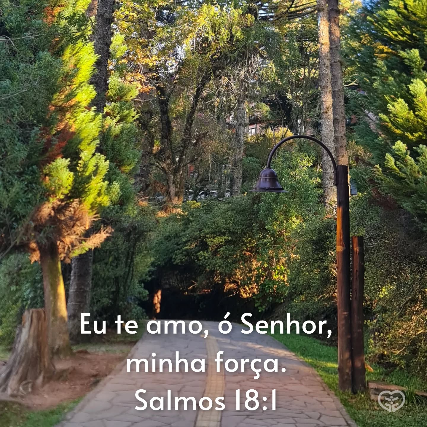 Salmos 18:1