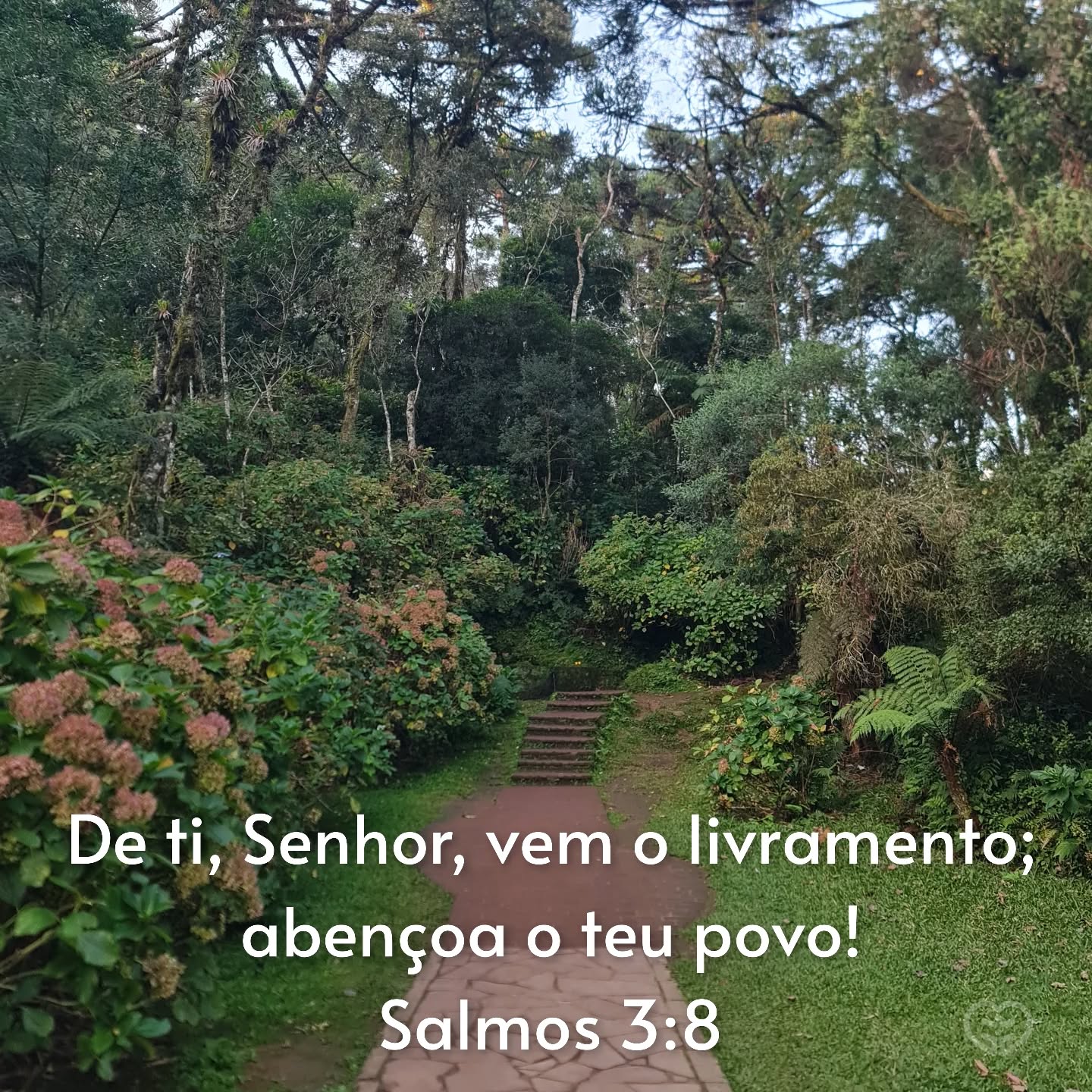 Salmos 3:8
