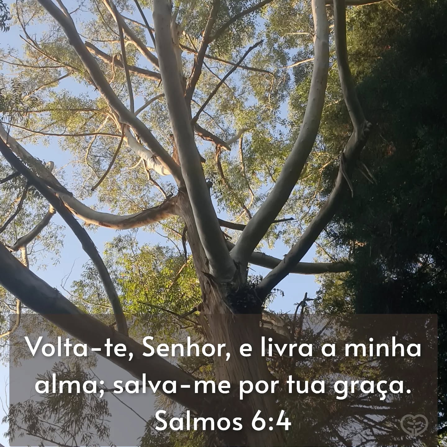 Salmos 6:4