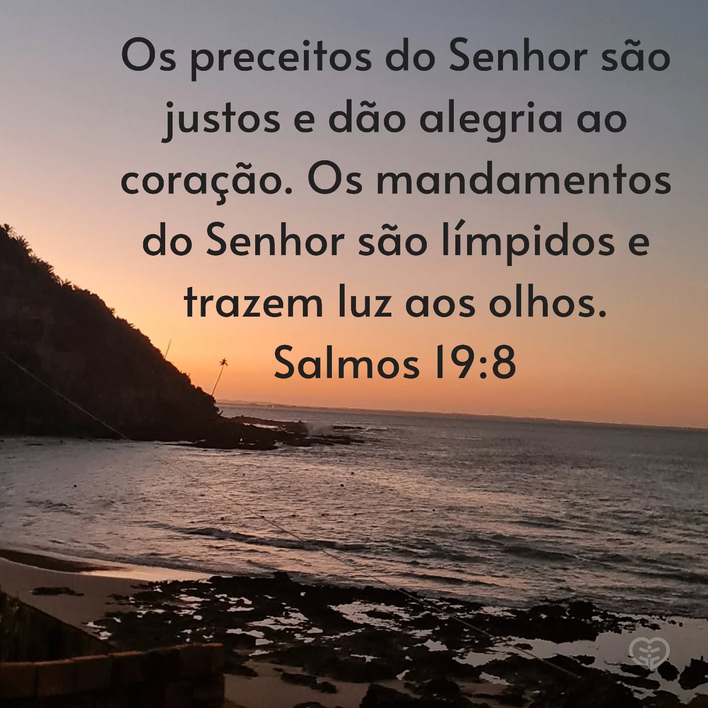 Salmos 19:8