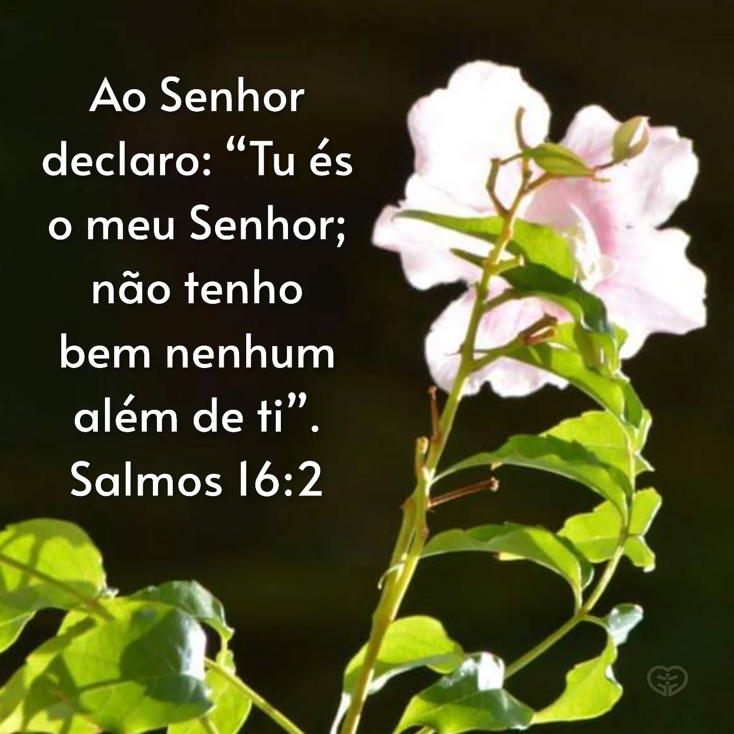 Salmos 16:2