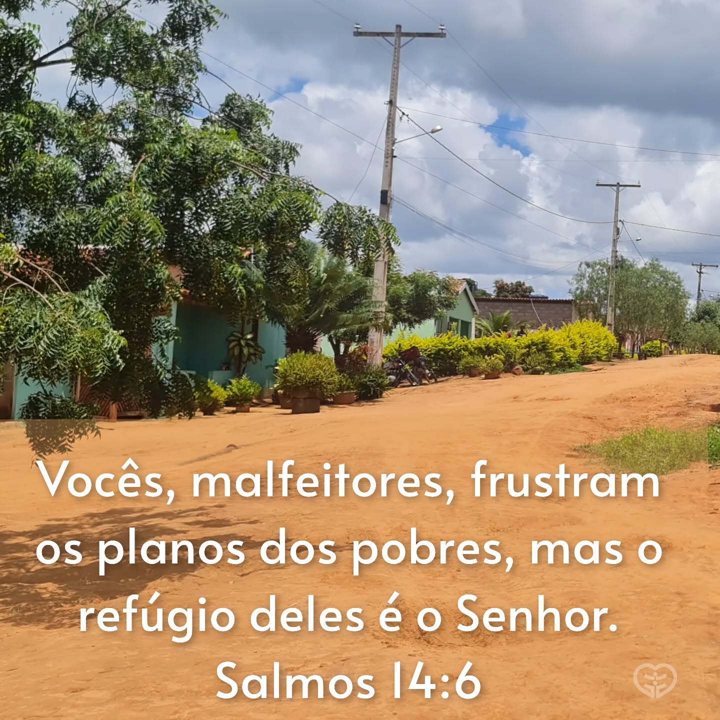 Salmos 14:6