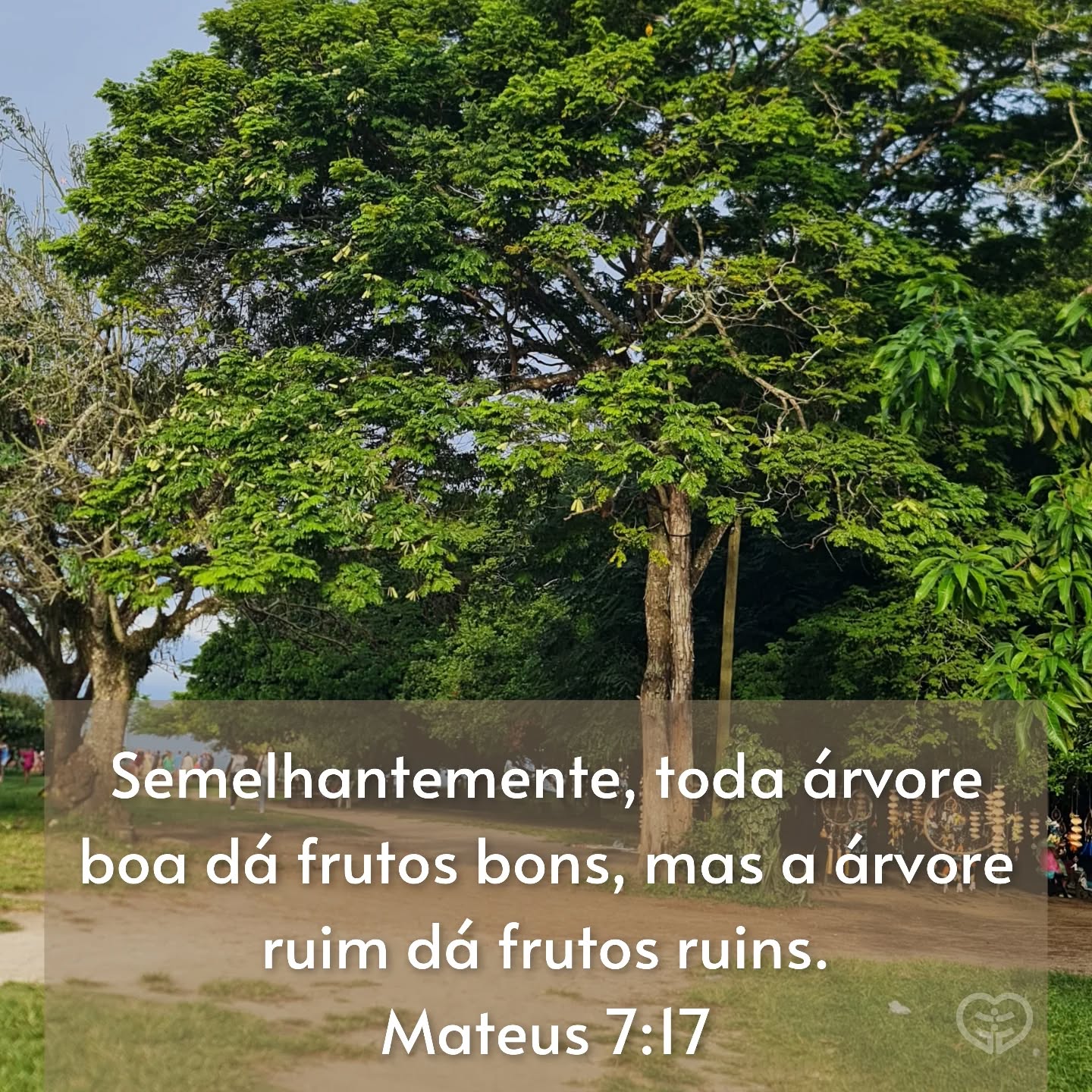 Mateus 7:17