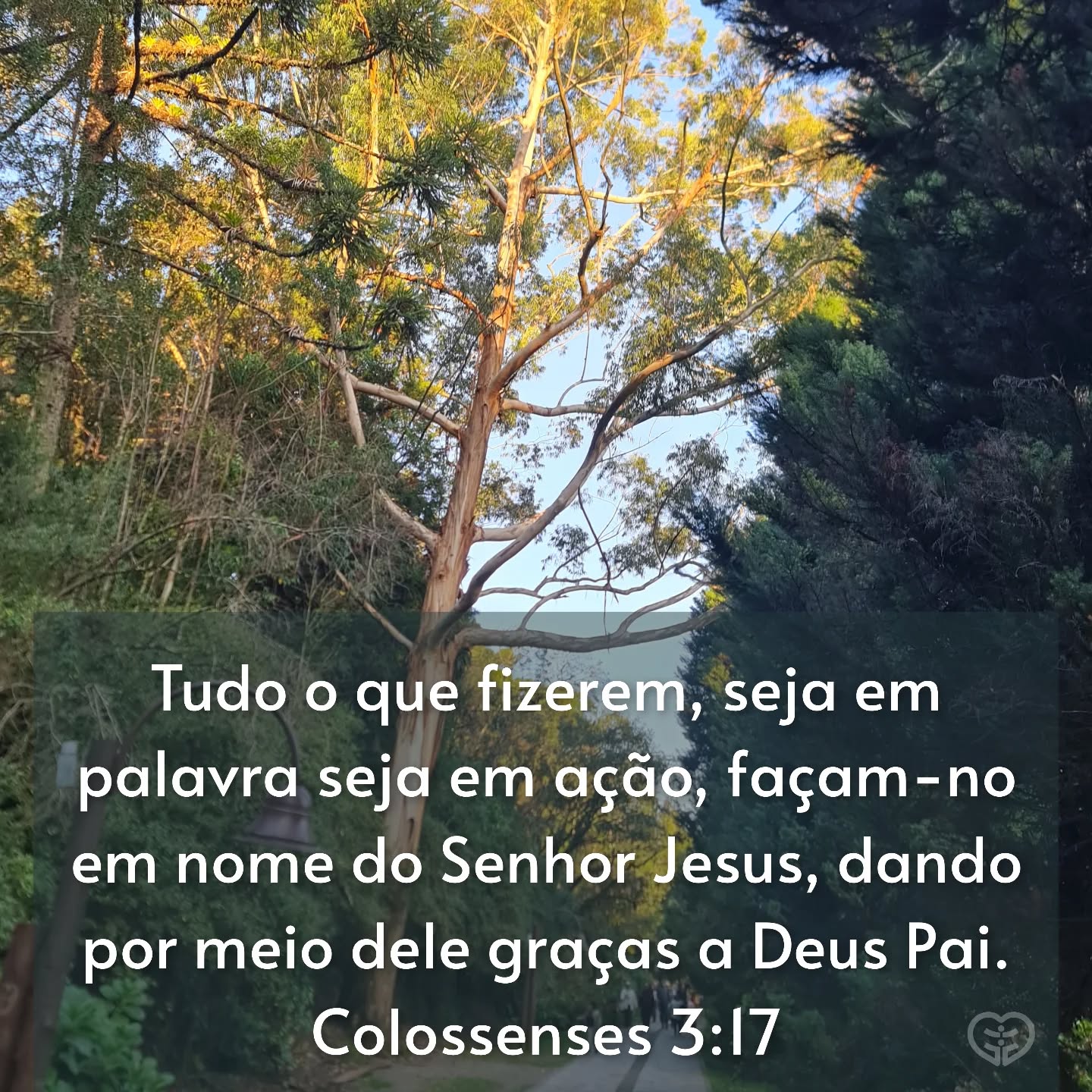 Colossenses 3:17