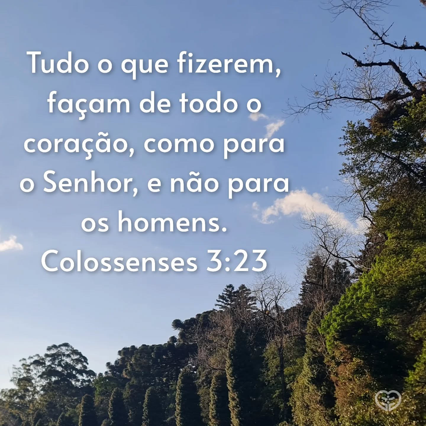 Colossenses 3:23
