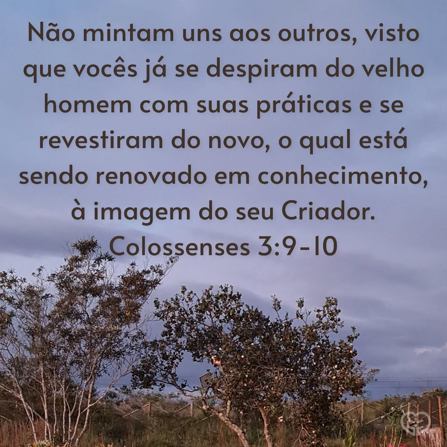 Palavra para 17 de junho de 2025