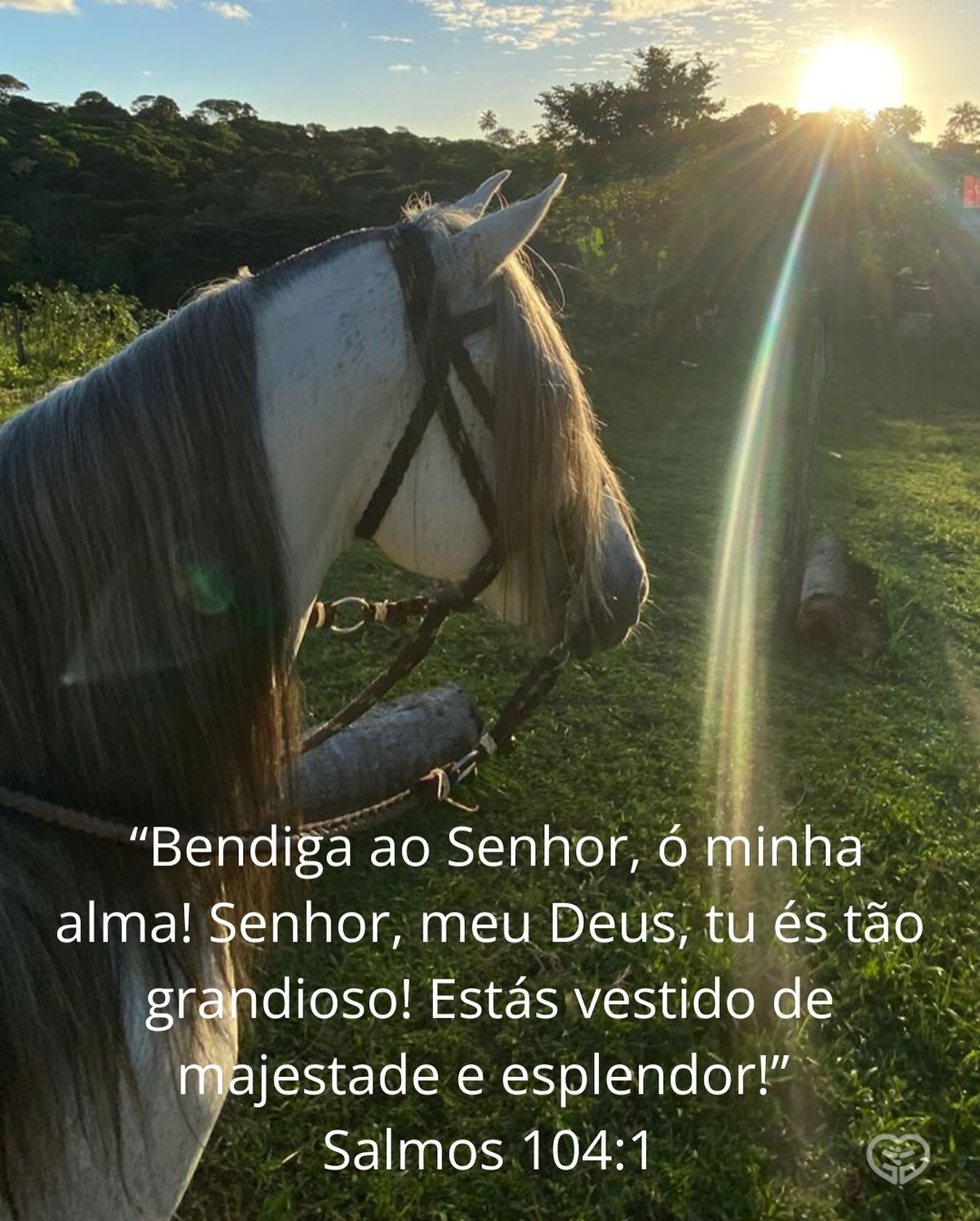 Palavra para 25 de julho de 2025