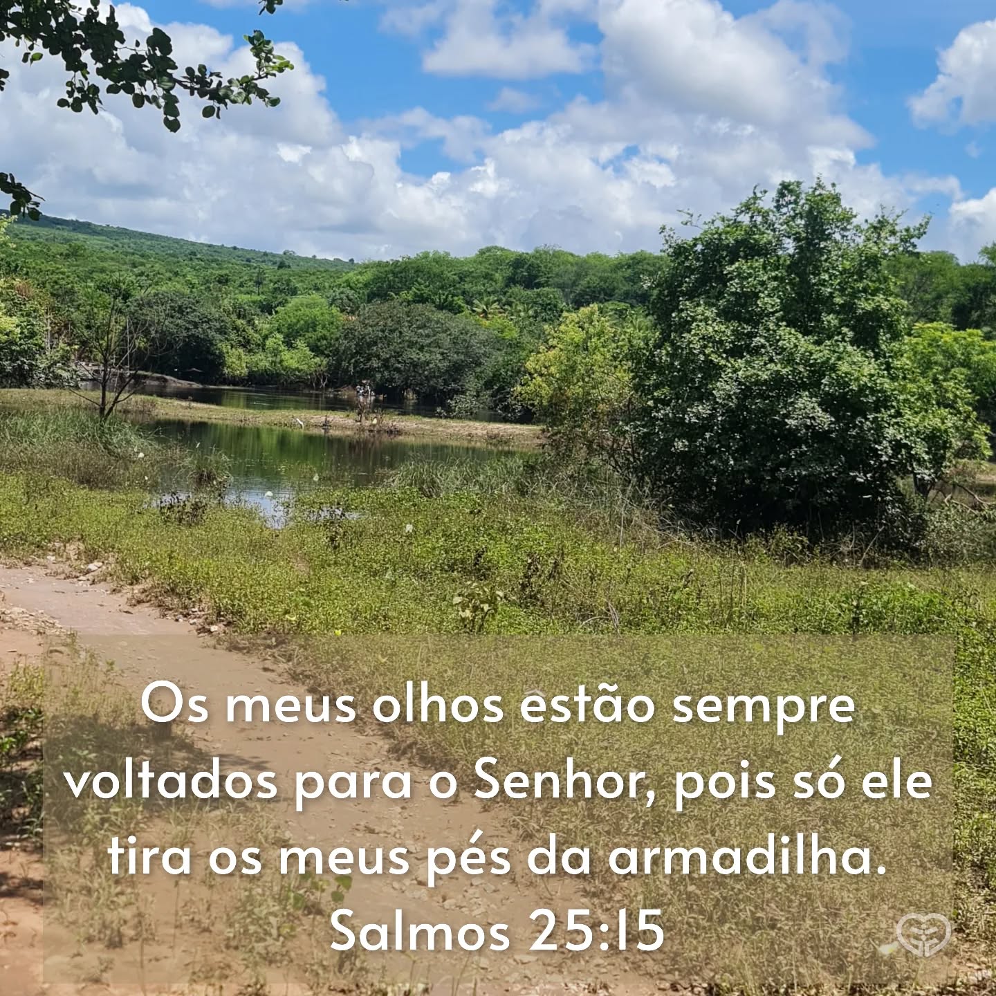 Salmos 25:15