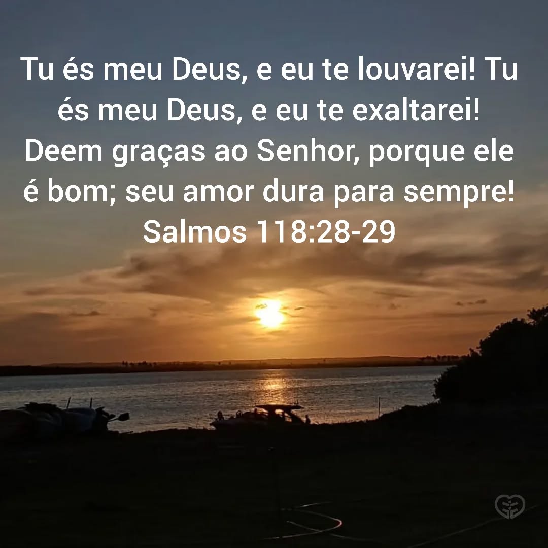 Salmos 118:28-29