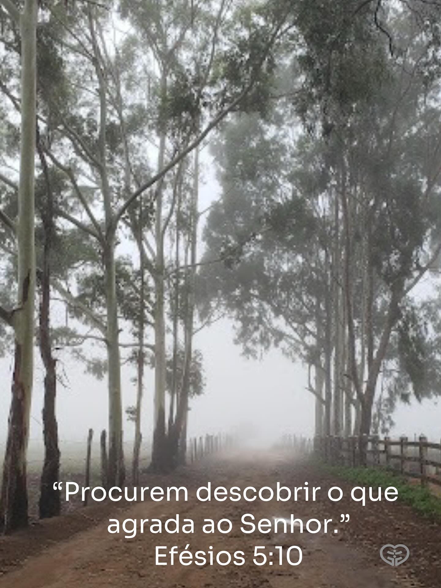 Efésios 5:10