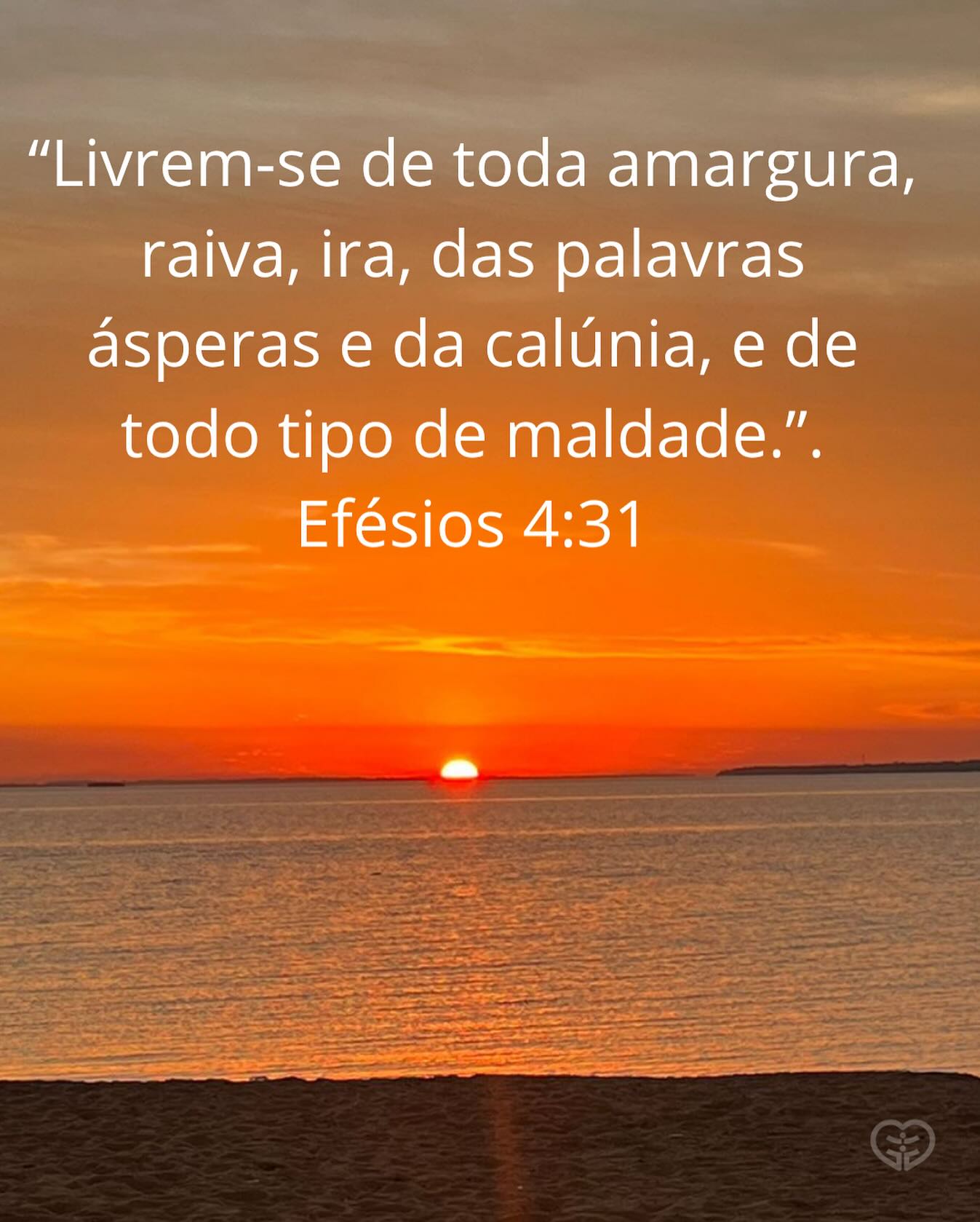 Efésios 4:31