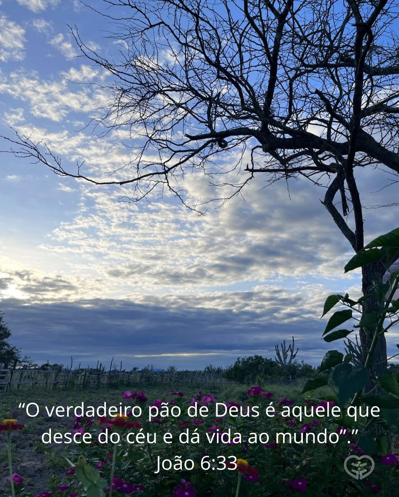 João 6:33