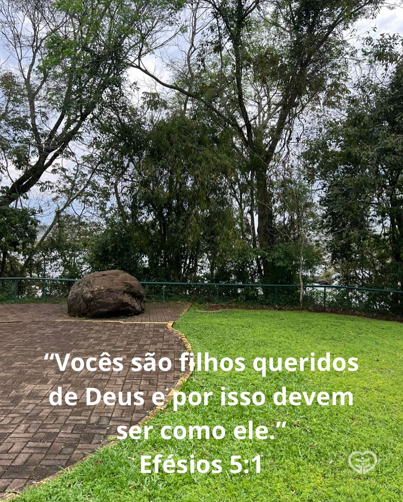 Palavra para 5 de novembro de 2025