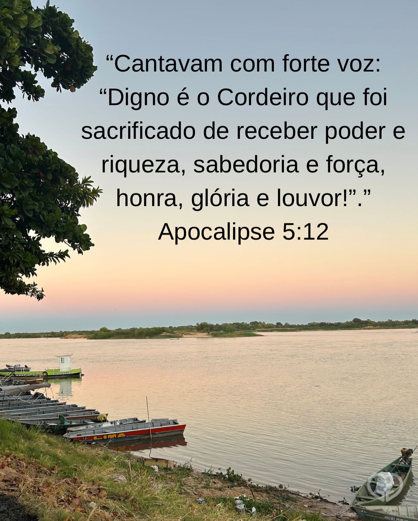 Apocalipse 5:12