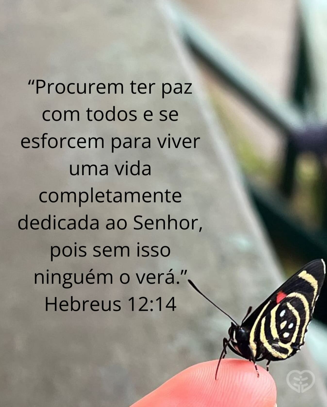 Hebreus 12:14