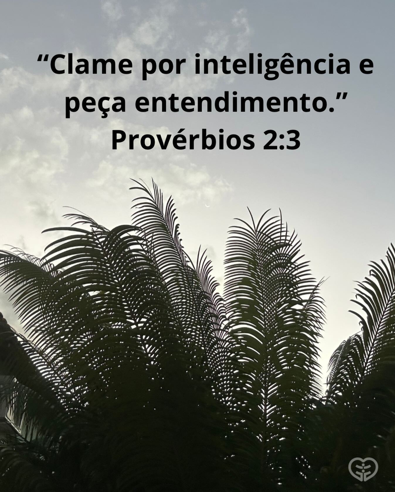 Provérbios 2:3