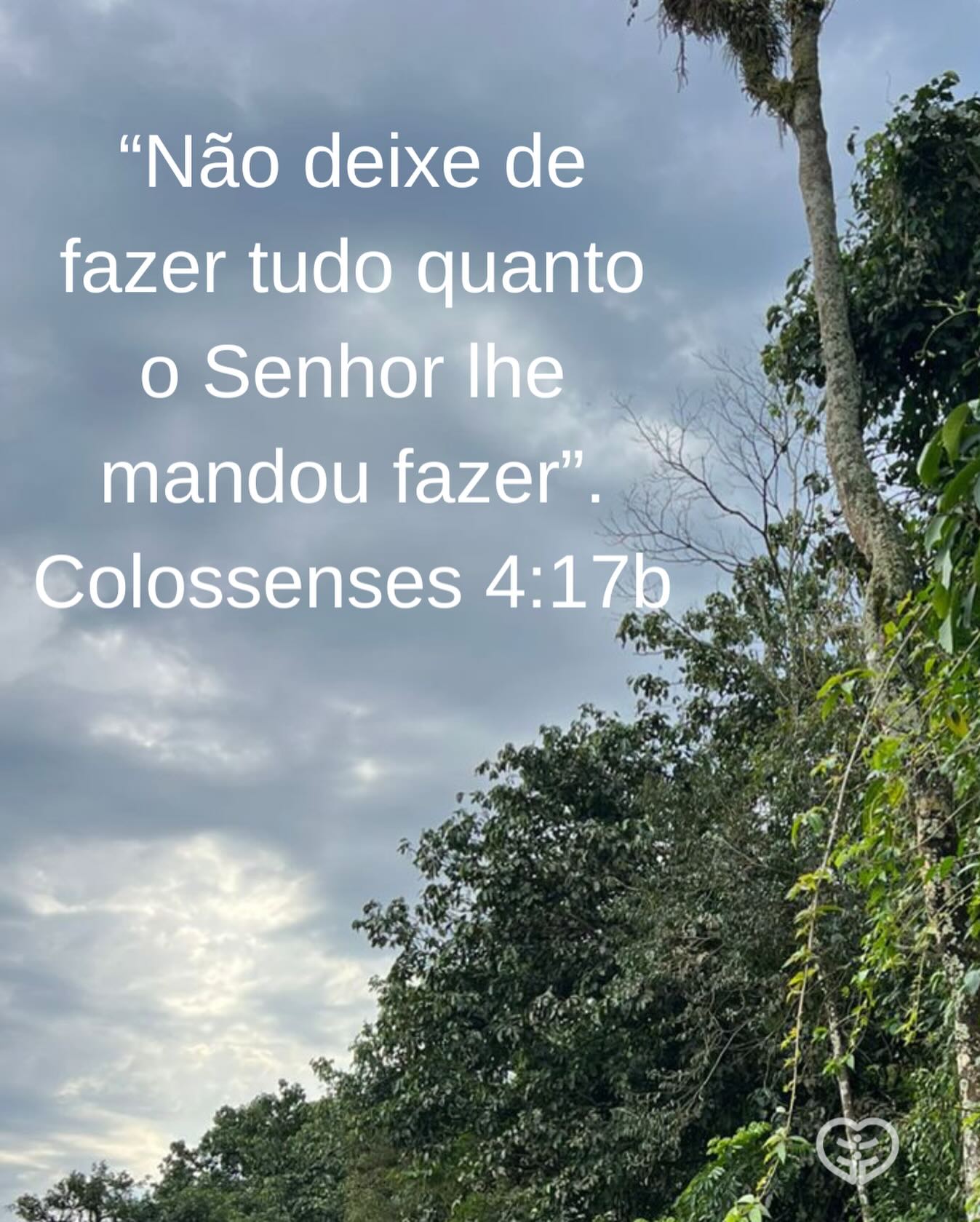 Palavra para 9 de dezembro de 2025