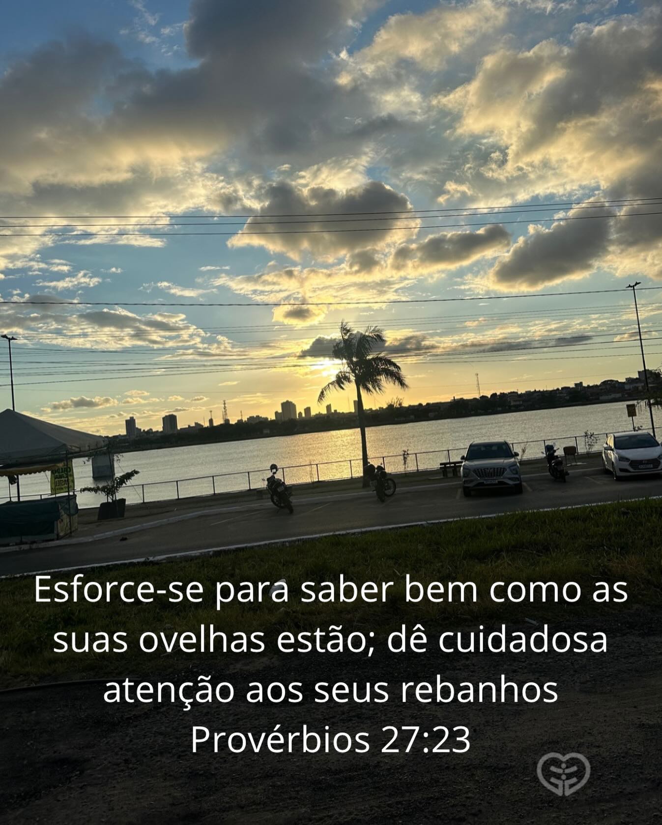 Provérbios 27:23