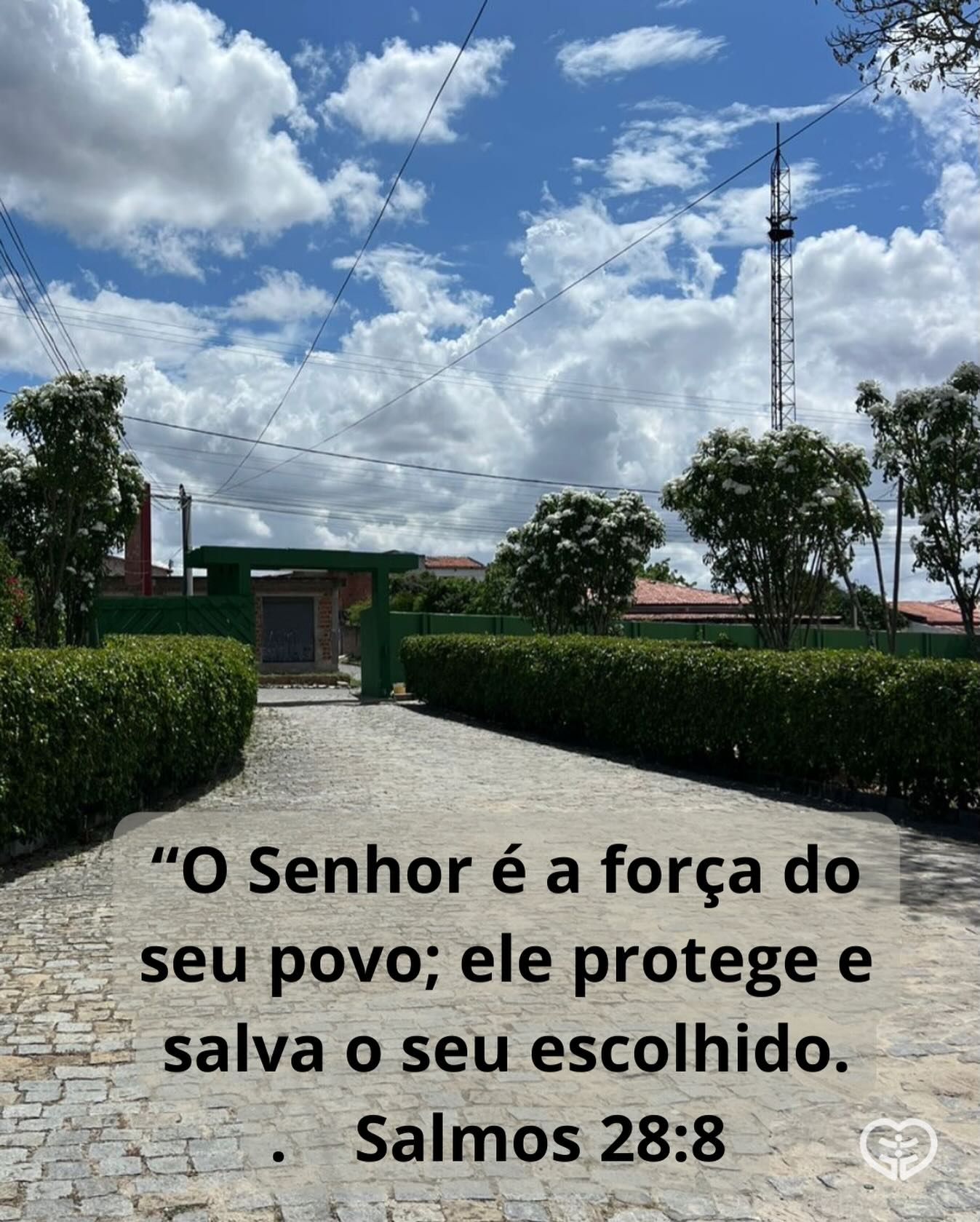 Salmos 28:8
