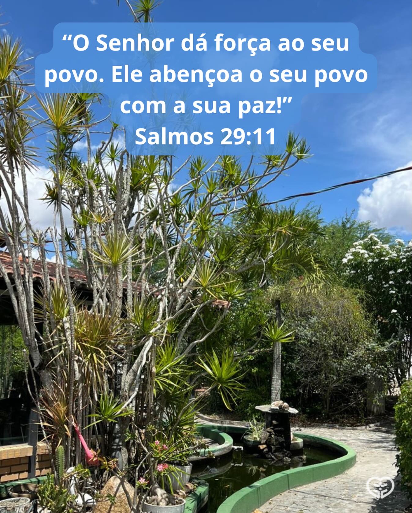 Salmos 29:11