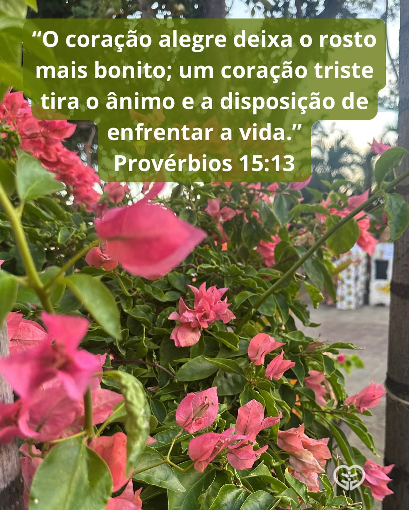 Provérbios 15:13
