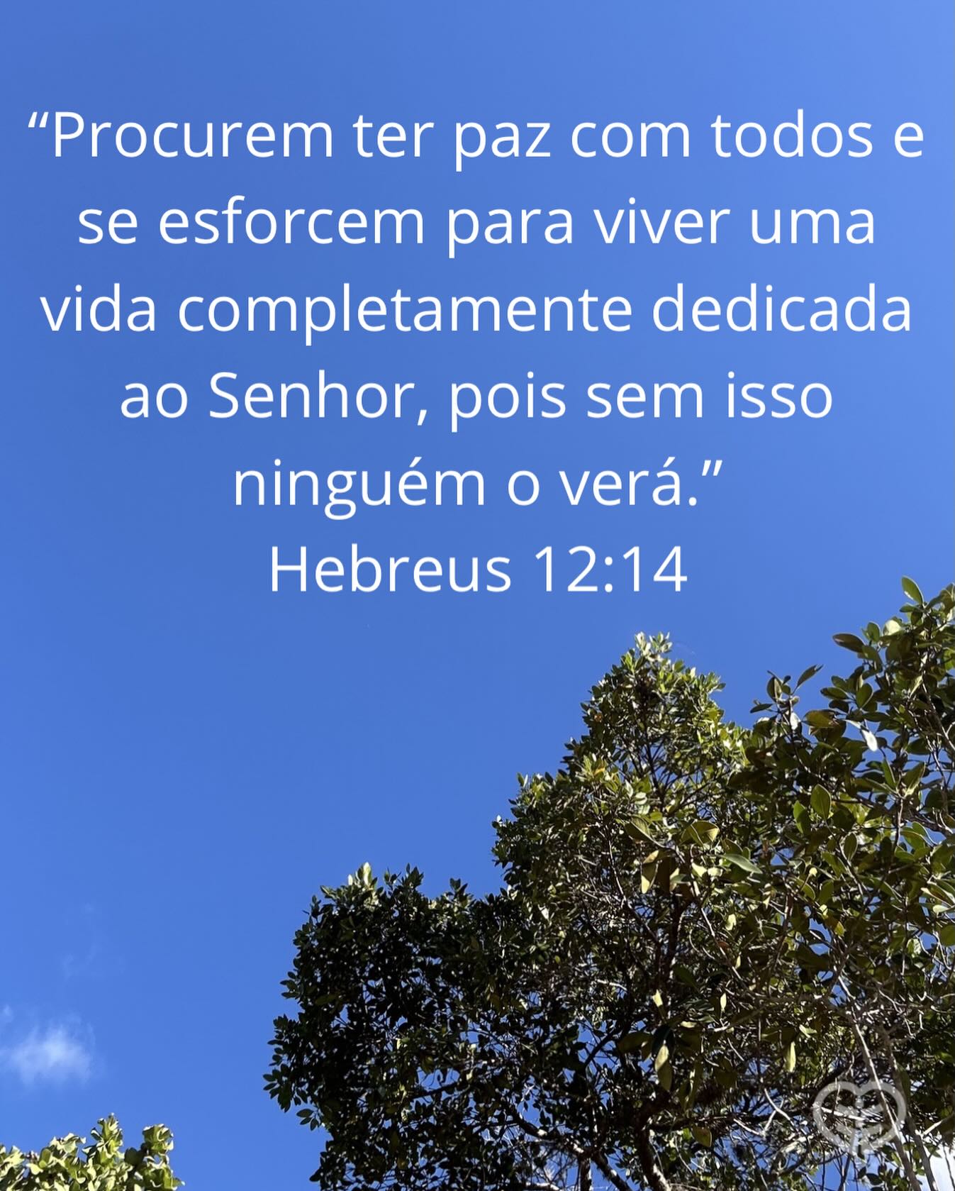 Hebreus 12:14