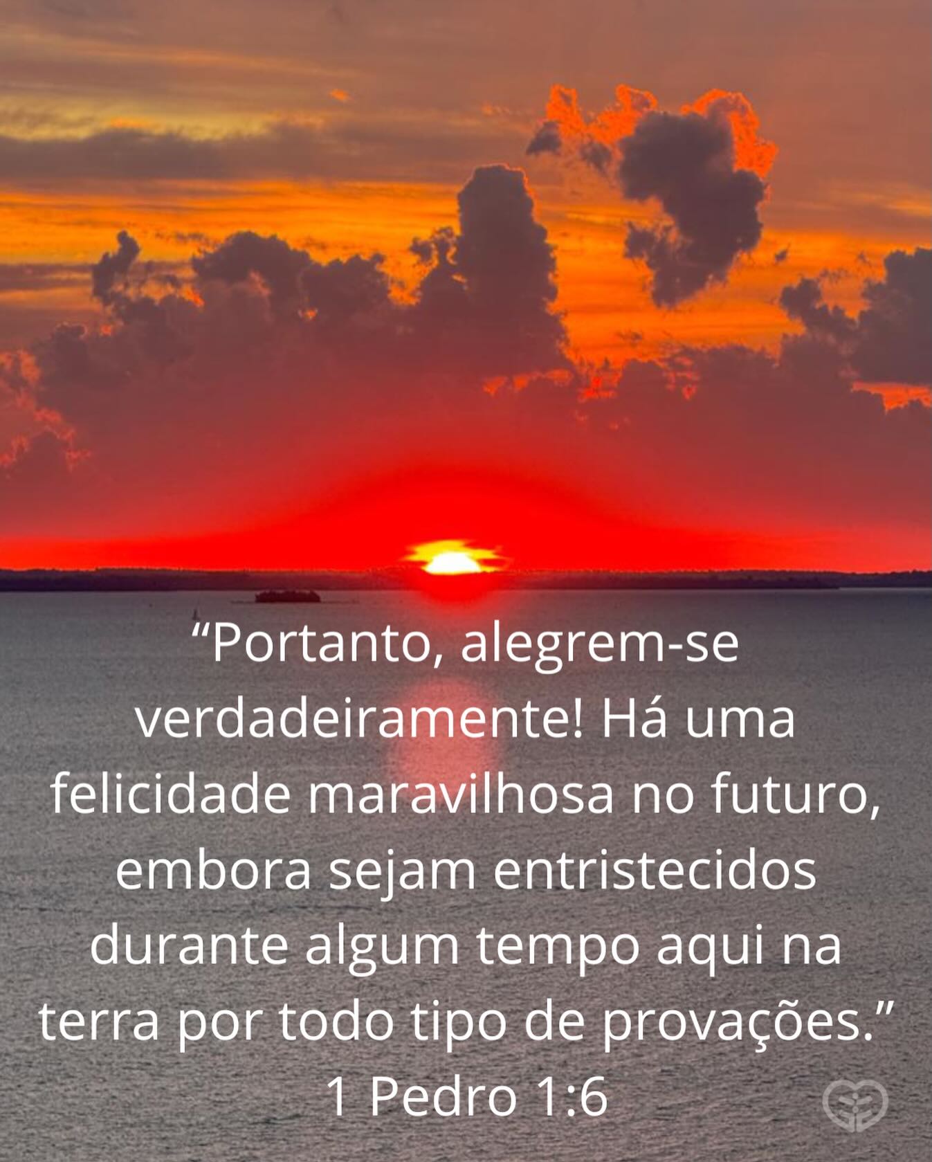 1 Pedro 1:6