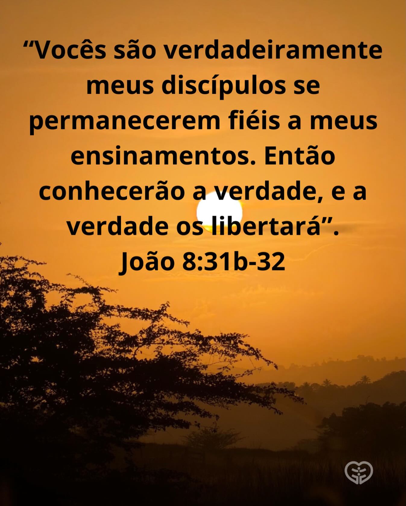 Palavra para 15 de fevereiro de 2026