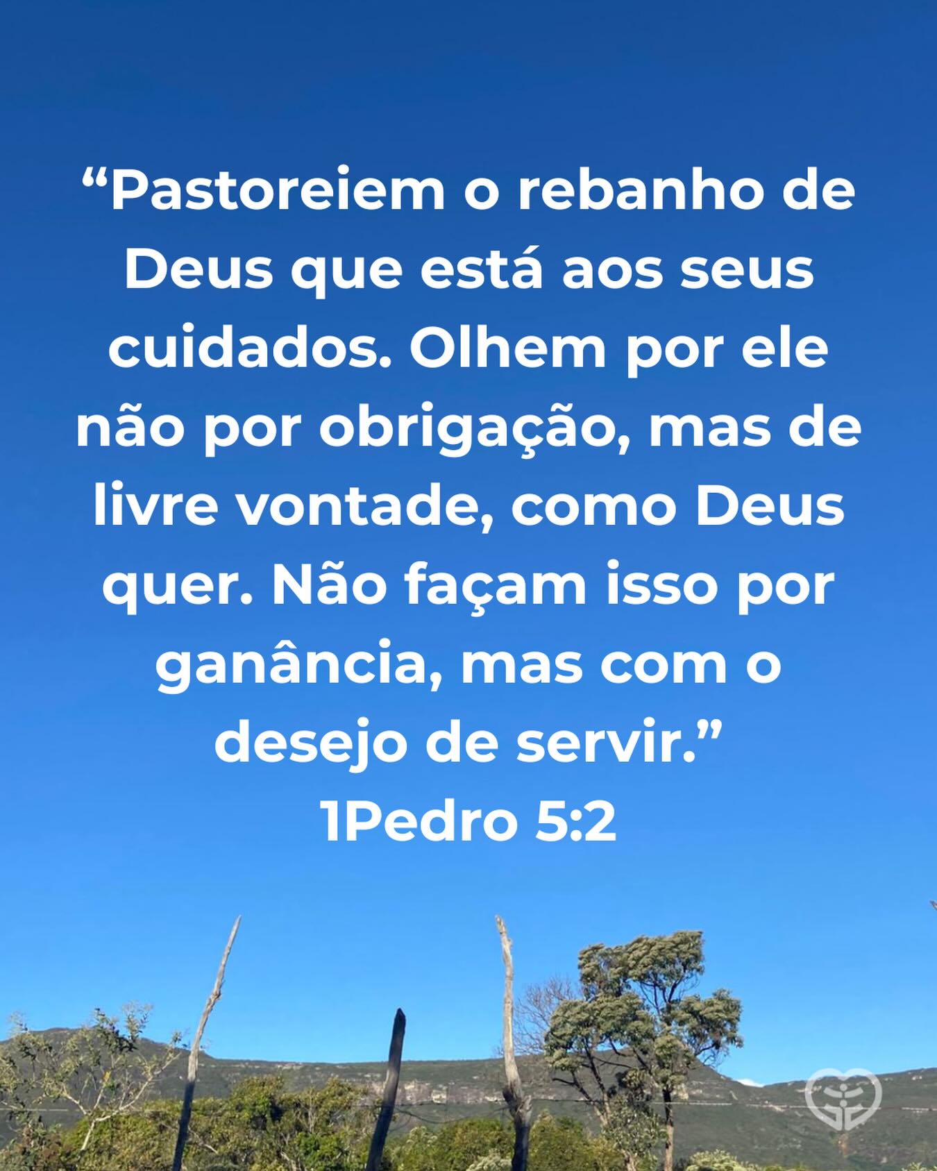 1Pedro 5:2