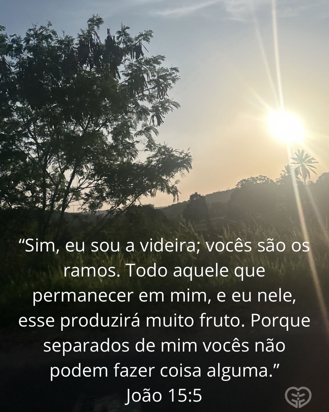 João 15:5