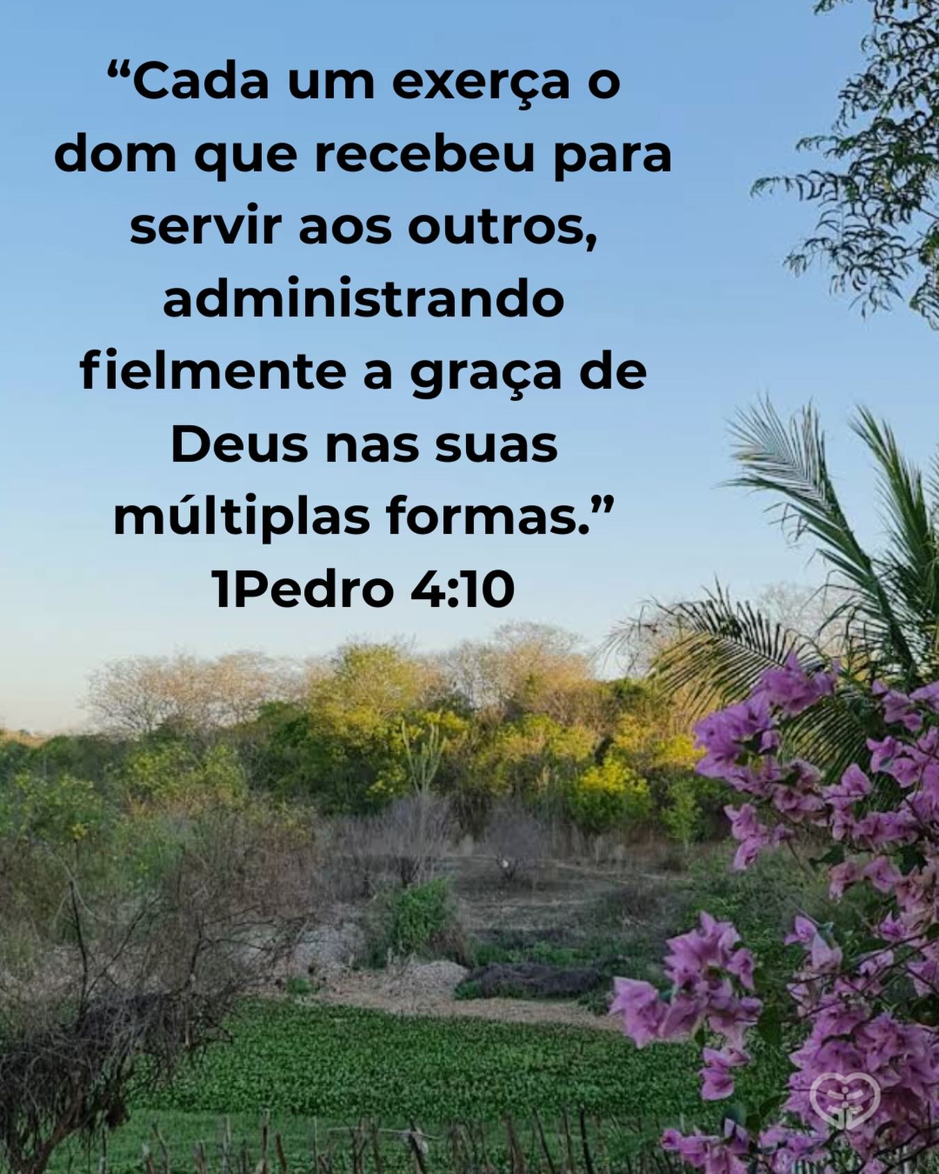 1Pedro 4:10