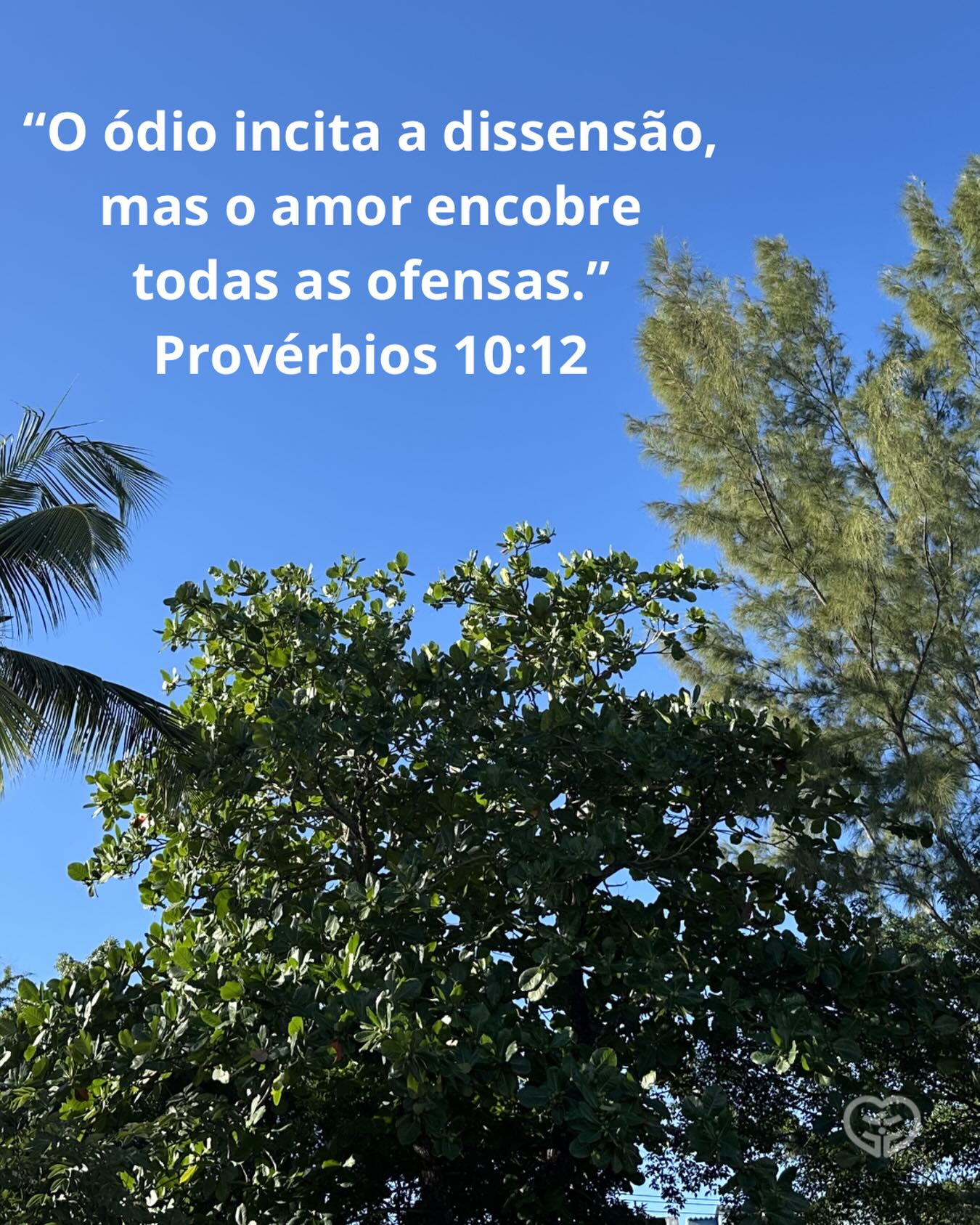 Provérbios 10:12