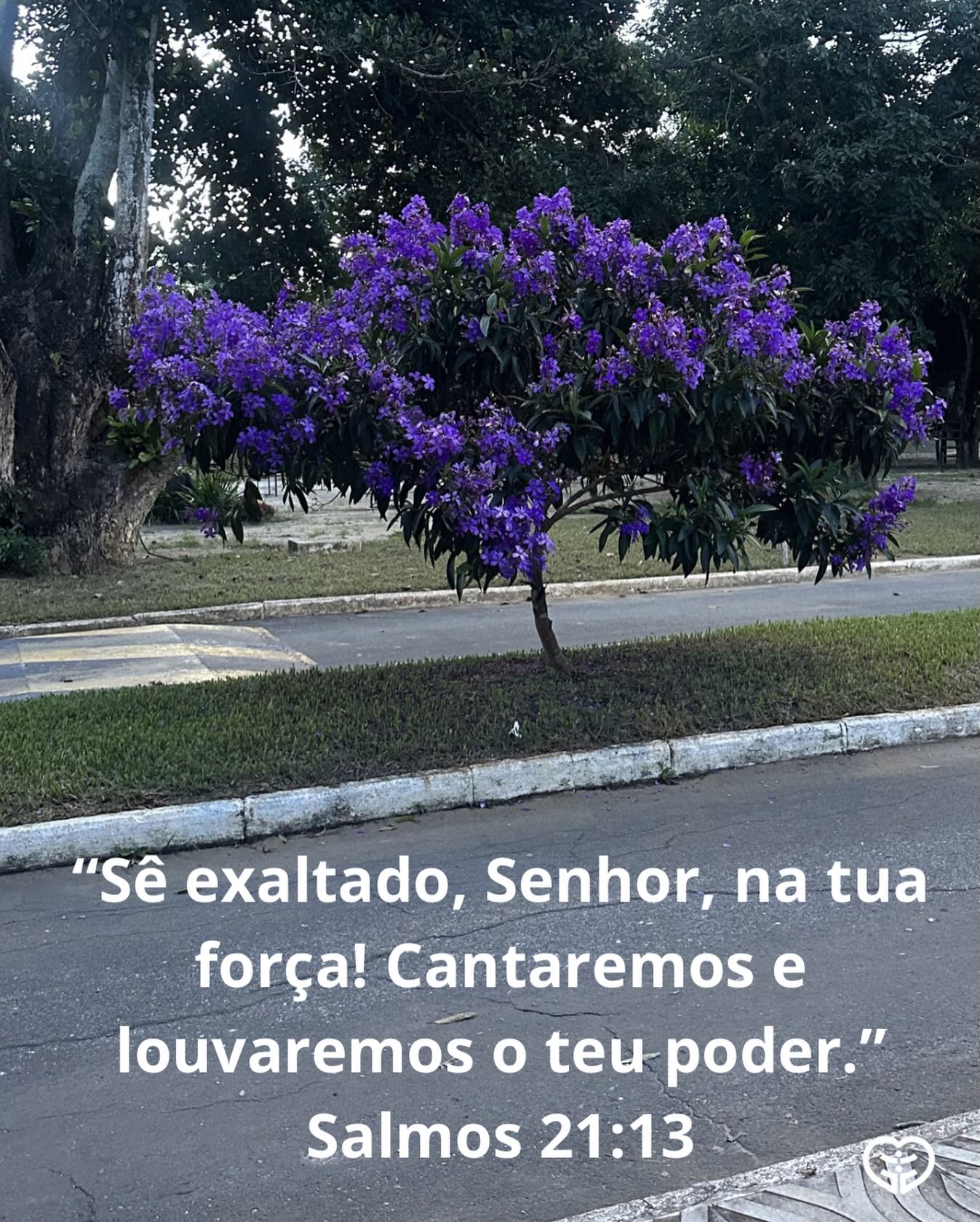 Salmos 21:13