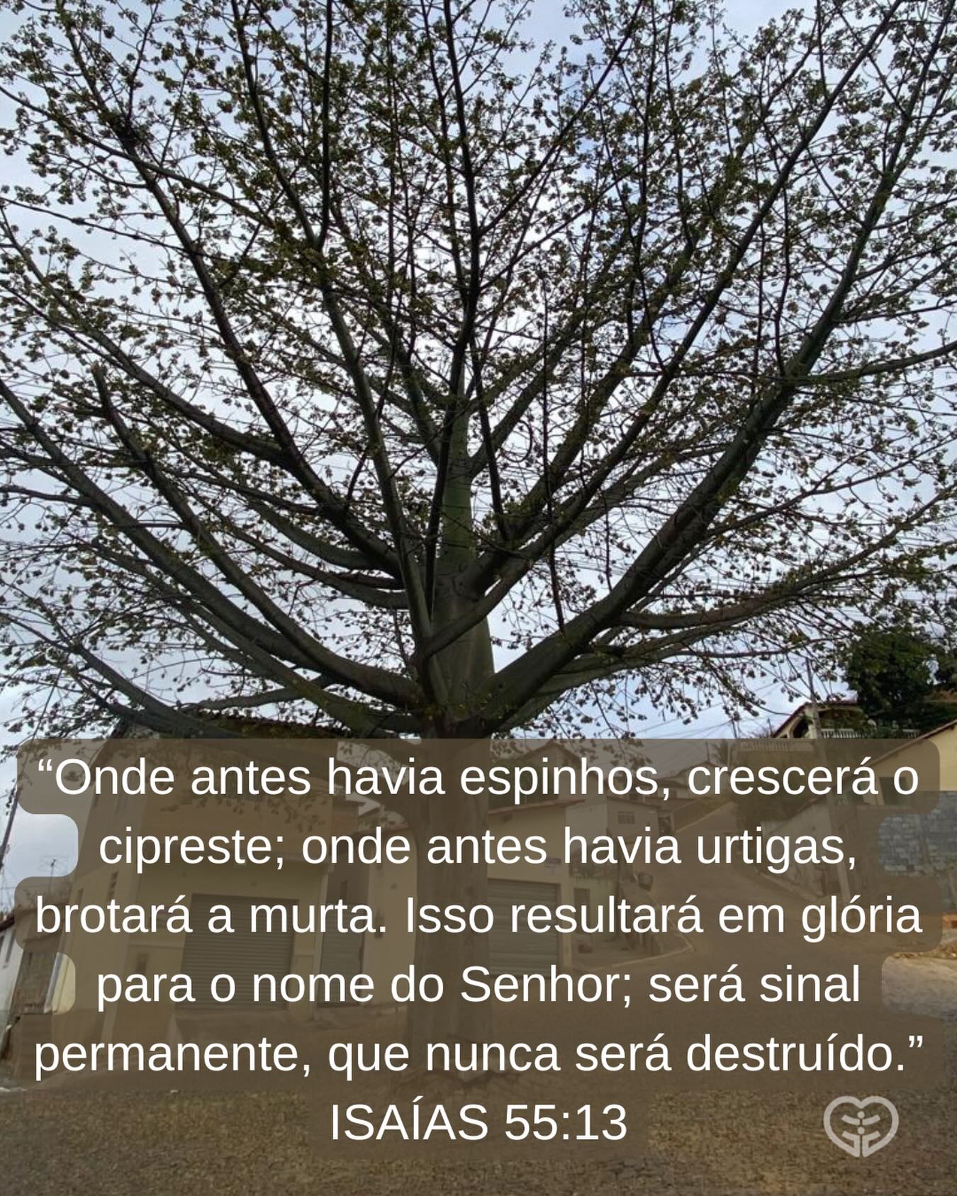 Isaías 55:13