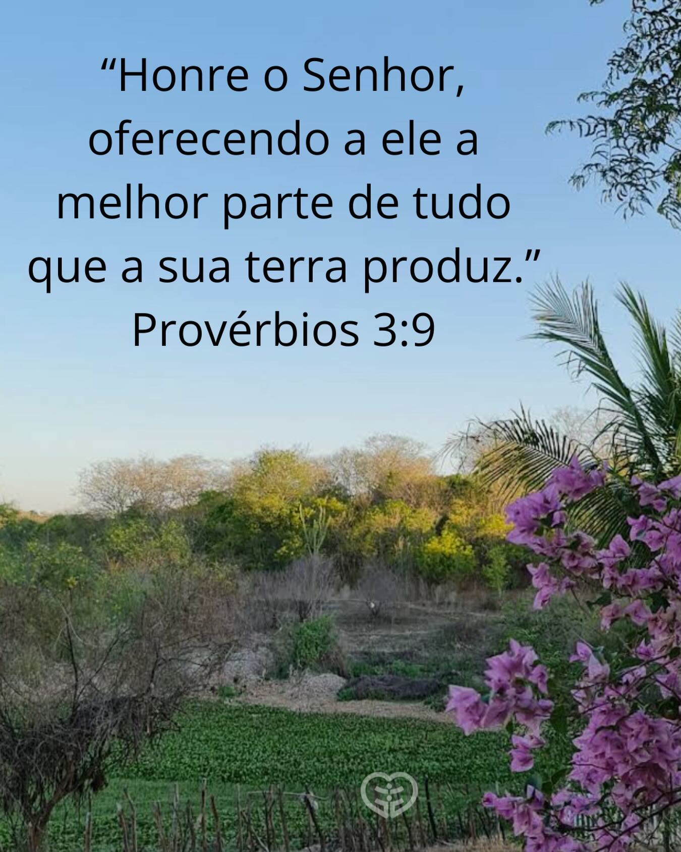 Provérbios 3:9