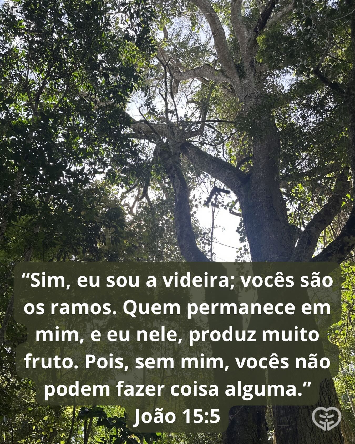 João 15:5