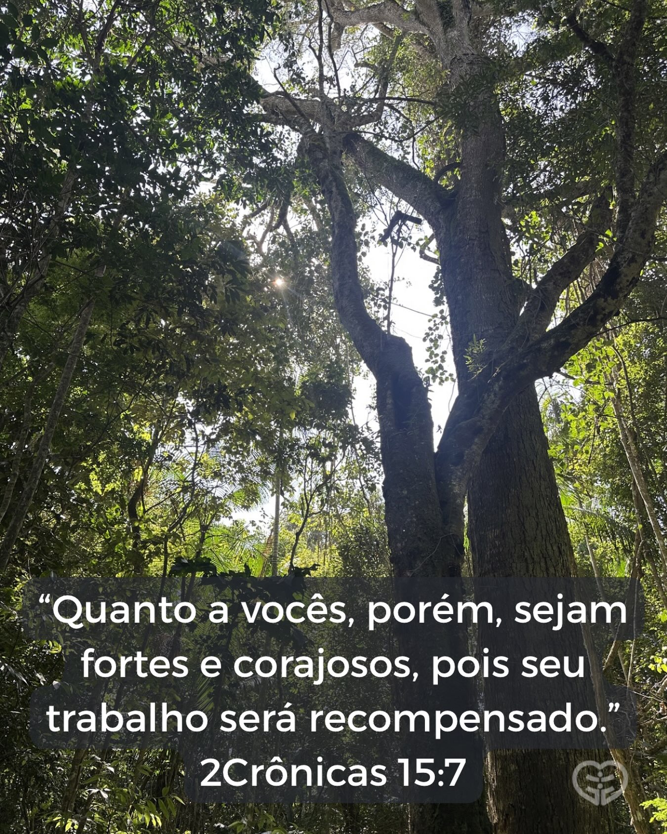 2Crônicas 15:7