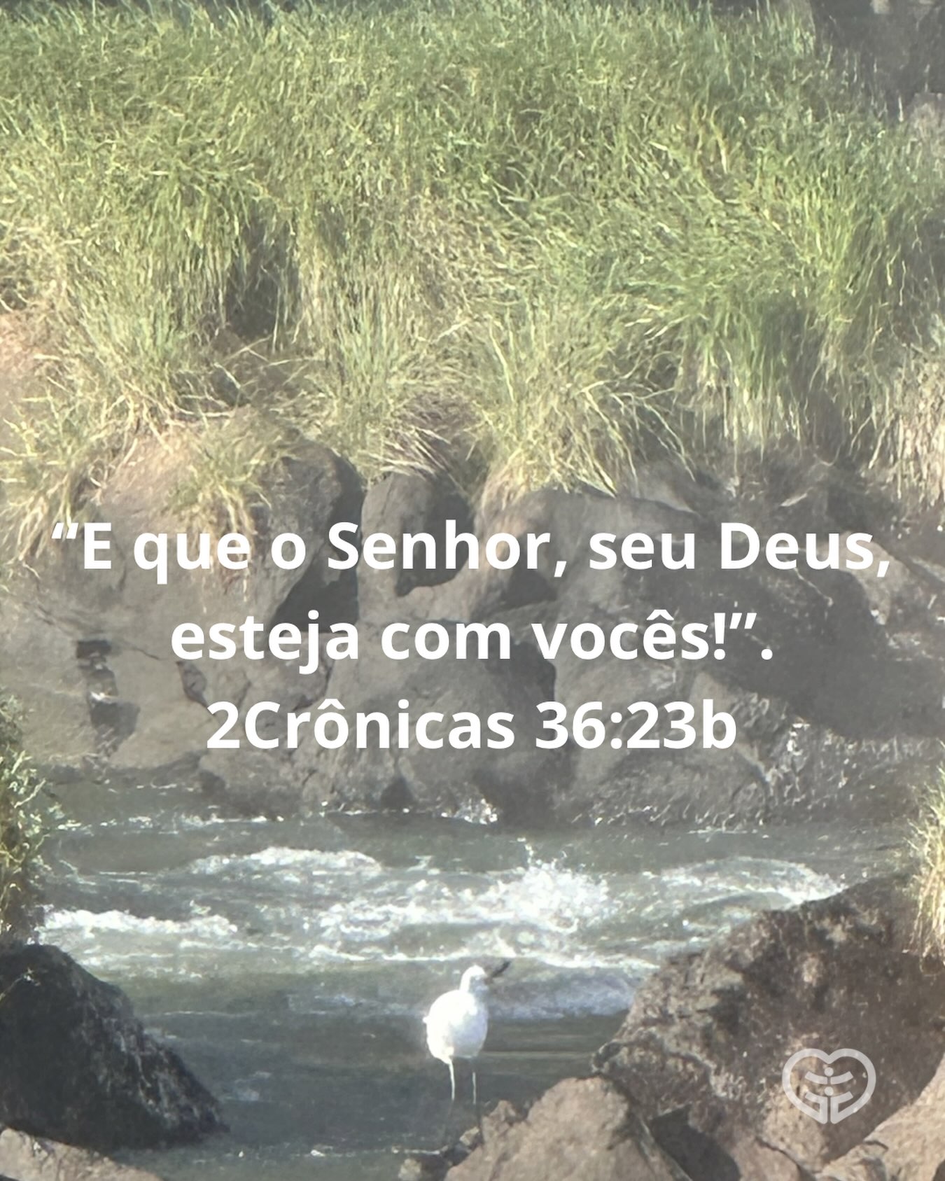 Palavra para 20 de junho de 2026